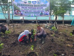 Polsek Panipahan Bersama KTH Wahana Mangrove dan Pelajar Tanam 150 Bibit di Pesisir Pasir Limau Kapas