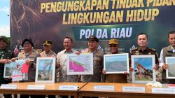 BKSDA Apresias Polda Riau Ungkap Perusakan Mangrove di Rohil