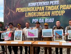 BKSDA Apresias Polda Riau Ungkap Perusakan Mangrove di Rohil