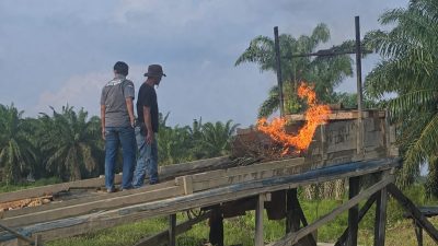 Tegaskan Komitmen Berantas Tambang Ilegal, Polsek Kuantan Mudik Musnahkan 6 Rakit PETI di Desa Sitiang