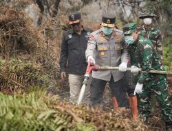 Kapolda Riau dan Pangdam Tuanku Tambusai Patroli Udara Karhutla, Turun Langsung Padamkan Api di Pelalawan
