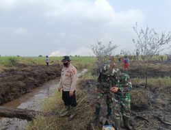 7 Hari Karhutla di Pelalawan, 642,3 H Lahan Ludes Terbakar 