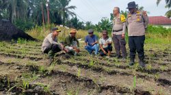 Polsek Kandis dan Petani Satukan Langkah, Mengawal Ketahanan Pangan untuk Masa Depan Bangsa