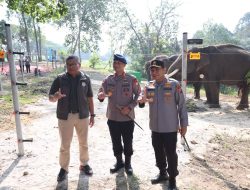 Kapolda Riau Resmikan Breeding Area Gajah Sumatera di PLG Minas, Perkuat Komitmen Jaga Kelestarian Satwa dan Hutan