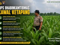 Bukan Sekadar Hadir, Ini Cara Bhabinkamtibmas Polsek Kandis Kawal Ketahanan Pangan