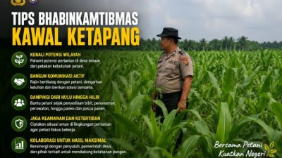 Bukan Sekadar Hadir, Ini Cara Bhabinkamtibmas Polsek Kandis Kawal Ketahanan Pangan