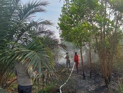 Sinergi Polri-TNI-Manggala Agni Berhasil Kendalikan Kebakaran Lahan Gambut di Tambang