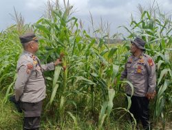 Dari Tangan Petani, untuk Masa Depan Negeri: Polsek Kandis Perkuat Ketahanan Pangan