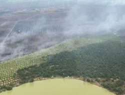 Kapolda Riau Patroli Udara, Pastikan Karhutla Pelalawan Ditangani Tuntas