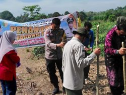 Polres Kuansing Perkuat Ketahanan Pangan, Dukung Asta Cita Presiden Lewat Penanaman Jagung Pipil