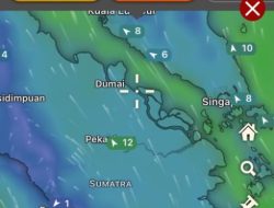 Polda Riau Intensifkan Penanganan Karhutla, 313 Hotspot Terdeteksi di Wilayah Riau
