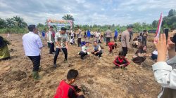 Dukung Swasembada Pangan, Polsek Medang Kampai Tanam Jagung di Lahan 1,5 Ha Pemko Dumai