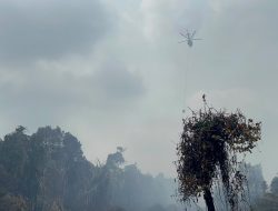 Water Bombing dan Alat Berat Dikerahkan Padamkan Karhutla di Dayun Siak