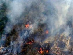70 Titik Panas Terdeteksi di Inhu, BMKG Ingatkan Potensi Asap di Riau