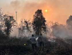 Pantang Pulang Sebelum Padam, Tim Gabungan Lanjut Dinginkan Lahan Rimbo Panjang