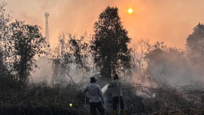 Pantang Pulang Sebelum Padam, Tim Gabungan Lanjut Dinginkan Lahan Rimbo Panjang