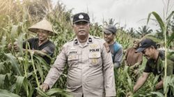September Kemarau, Semangat Gotong Royong Polsek Kandis dan Petani Menguatkan Ketahanan Pangan