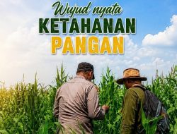 Bhabinkamtibmas Polsek Kandis dan Petani, Diantara Tanah dan Benih Jagung