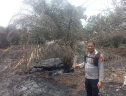Gerak Cepat! Polsek Pangkalan Kuras Padamkan Karhutla Seperempat Hektare di TNTN