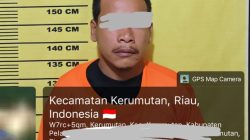 Panen Liar di Blok 28, Security PT SLS Bekuk Pencuri 23 Tandan Sawit