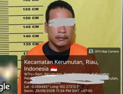 Panen Liar di Blok 28, Security PT SLS Bekuk Pencuri 23 Tandan Sawit