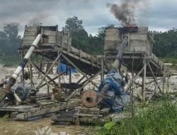 Tindak Lanjut Info Media Online, Polsek Kuantan Mudik Musnahkan 8 Rakit PETI