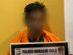 Bersihkan Lahan dengan Cara Bakar, Pria 60 Tahun di Inhu Dijerat UU Lingkungan Hidup