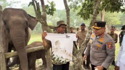 Kunjungi Flying Squad TNTN, Kabaharkam Polri Titip Amanah Jaga Ikon Kebanggaan Riau