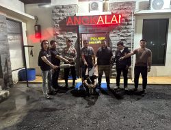 Curi Katalis di Parkiran Hotel Aini Pelalawan, Pelaku Ditangkap di Pekanbaru