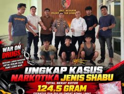 Gerebek Kebun Sawit, Polsek Bagan Sinembah Amankan 124,5 Gram Sabu dan 3 Pria
